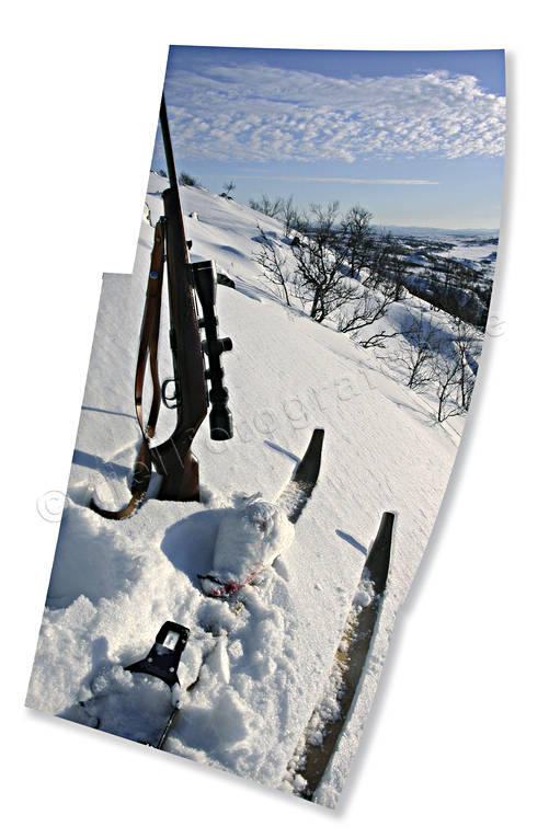 alpine hunting, bag, hunting, portrait, portraits, ptarmigan, ptarmigan, snow, vinterjakt ripa, vinterripa, weapon, white grouse hunt