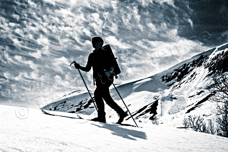 backcountry skiers, down-hill running, mountain, nature, outdoor life, ski touring, sport, äventyr