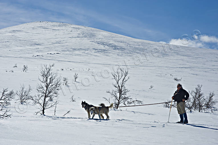 mountain, mountains, national park, national parks, ski touring, skier, Sododalen, Sonfjllet, winter, ventyr