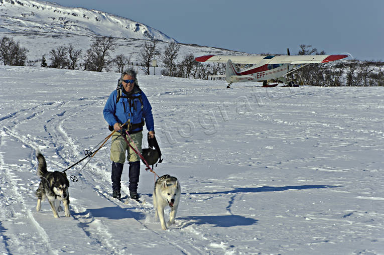 aeroplane, outdoor life, ski touring, skier, skiing, sled dog, sled dogs, spring-winter, winter, ventyr