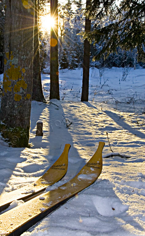 ambience, ambience pictures, atmosphere, backlight, christmas, christmas ambience, christmas card, christmas pictures image, laplandic skis, season, seasons, skies, wilderness, winter, winter pictures, wooden skis
