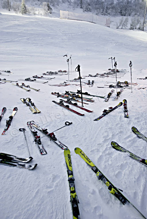 down-hill running, left, playtime, ski-slope, skies, sport, tomt, uninhabited, winter