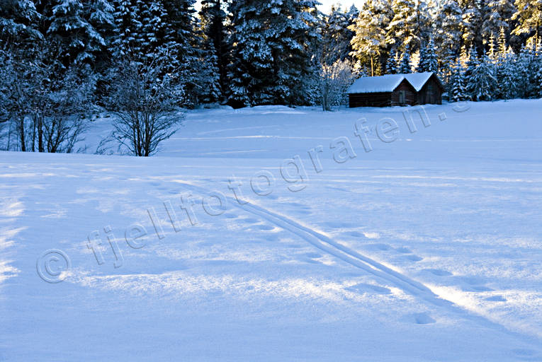 ambience, ambience pictures, atmosphere, christmas, christmas ambience, christmas card, christmas pictures image, season, seasons, snow, winter, winter pictures