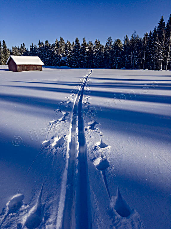 barn, deep snow, friluftlsliv, Jamtland, landscapes, season, seasons, ski touring, skiing, skiing tracks, snow, tracks, winter, ventyr