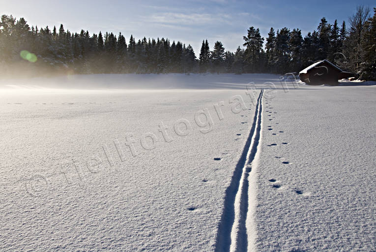 cold, cold, mid-winter, season, seasons, skiing tracks, snow, winter