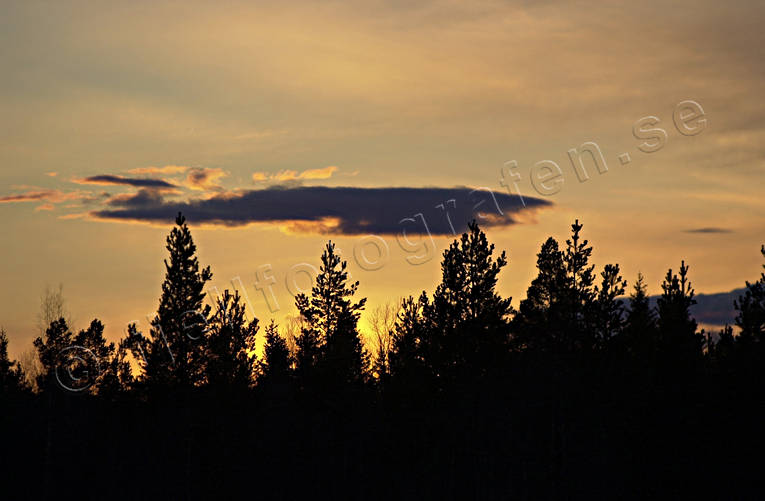 ambience, ambience pictures, atmosphere, autumn, cloud, evening, forest brim, red, season, seasons, skogskant, sky, sunset, woodland, yellow