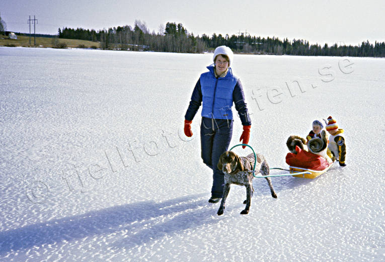 boys, brothers, children, dogsled ride, fishing, fishing through ice, german shorthaired pointer, ice, mother, outdoor, outside, sled, sled dog, sled dogs, sledge dog, sledge dogs, sledge trip, spring-winter, spring-winter ice, wild-life, winter, winter sport, äventyr