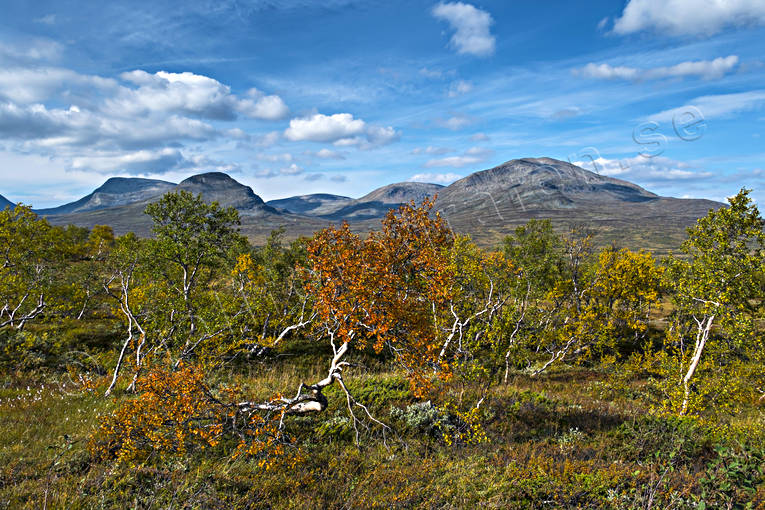 alpine, alpine landscape, autumn, autumn colours, getryggen, Jamtland, landscapes, mountain, mountain top, nature, red, red, Snasen, Snasenmassivet, Storsnasen, tvaraklumpen