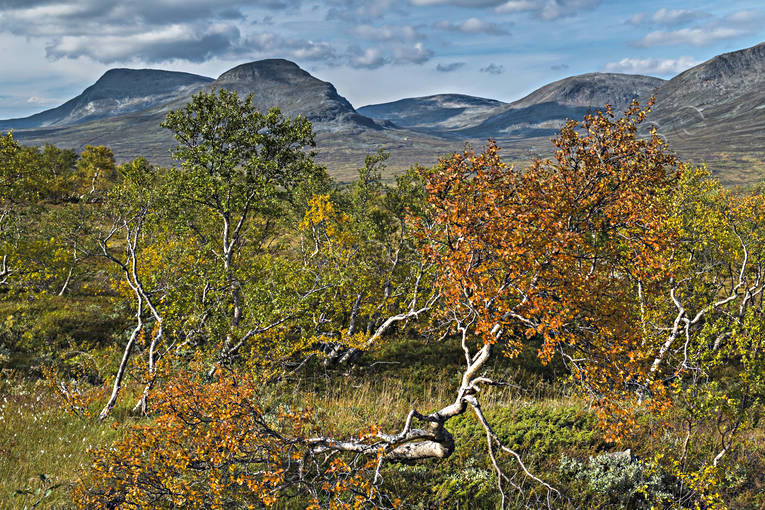 alpine, alpine landscape, autumn, autumn colours, getryggen, Jamtland, landscapes, mountain, mountain top, nature, red, red, Snasen, Snasenmassivet, Storsnasen, tvaraklumpen