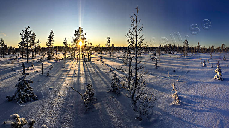 ambience, ambience pictures, atmosphere, backlight, bog soils, christmas ambience, impedement, mid-winter, mire, nature, season, seasons, sunset, winter