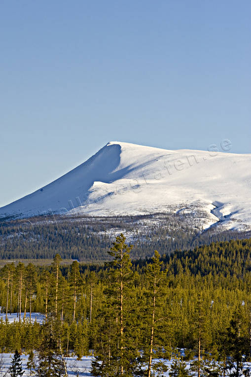 alp, Herjedalen, landscapes, mountain, mountain forest, near mountains, Sonfjllet, winter, woodland