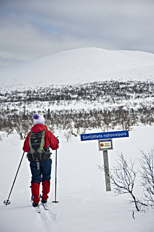 Herjedalen, landscapes, mountain, mountains, national park, national parks, sign, ski touring, skier, skiing, Sododalen, Sonfjllet, winter