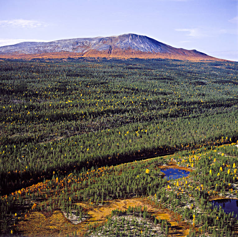 Sonfjället and near mountains woodland aerial photo, aerial photo, aerial photos, aerial photos, autumn, autumn colours, drone aerial, drönarfoto, fjällbilder, Herjedalen, mountain, mountain, mountain forest, national park, near mountains, Sonfjället, Swedish Mountains, woodland