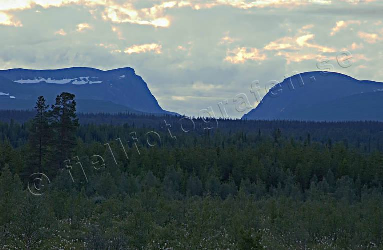 Jamtland, landscapes, Ljungdalen, mountain, mountain forest, Storadorren, Storsj, summer, woodland