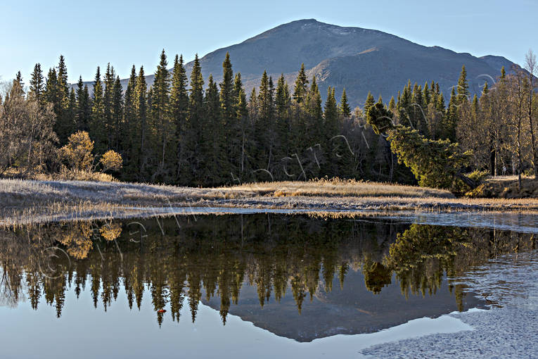 alpine, alpine landscape, ambience pictures, atmosphere, autumn, autumn colours, autumn morning, birch, birch leaf, court, Enafors, Enaforsholm, Enan, Jamtland, landscapes, mountain, mountain mere, mountain peaks, mountain top, mountains, nature, reflection, season, seasons, Snasa Mountains, Snasen, Storsnasen, stmmning, tarn, vatten, woodland