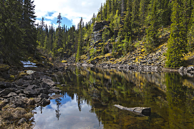 avalanche, biotope, biotopes, forest tarn, Jamtland, landscapes, lichens, nature, naturreservat, softwood forest, Styggdalen, summer, tarn, vatenspegling, vatten, virgin forest, wildwood, woodland