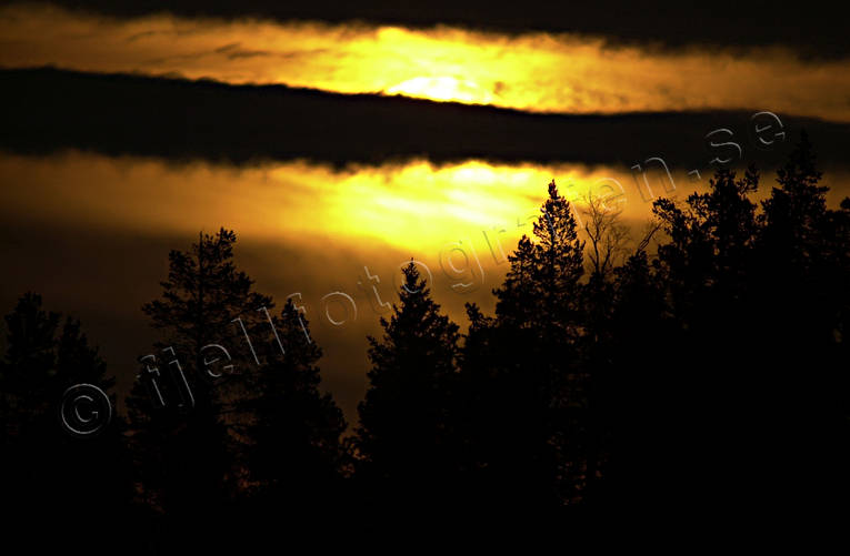 backlight, celestial phenomen, cloud, evening, forest land, nature, sky, sunset, woodland