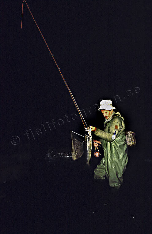 angling, evening, fishing, flyfishing, night, night fishing, swimfeeder, trout, tuck