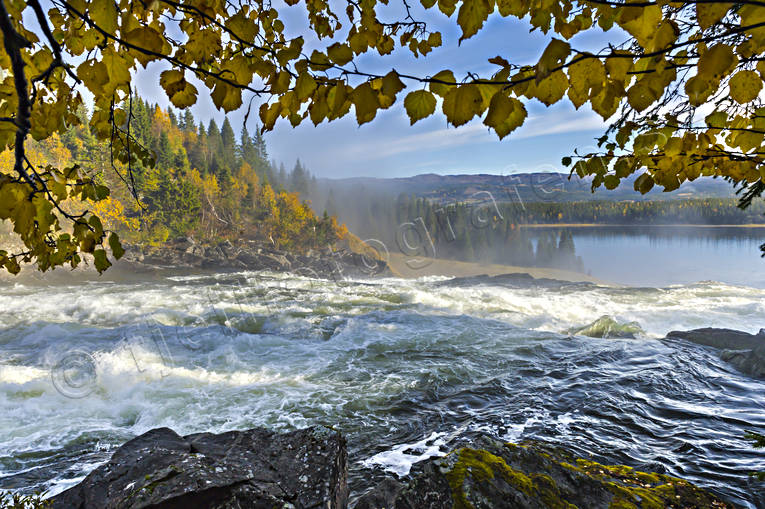 attractions, autumn, autumn colours, autumn leaves, Jamtland, landscapes, stream, tannforsen, vatten, water fall, watercourse