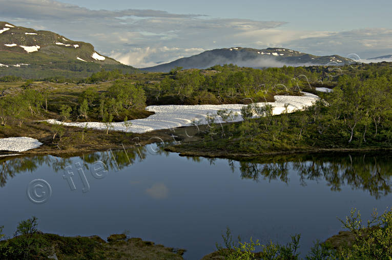 alpine birch, Anaris, Anaris Mountains, downy birches, Jamtland, landscapes, mountain, mountain lake, mountains, season, seasons, snow, snowy patches, spekgelblank, spring