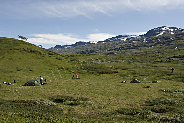 alpine hiking, national park, Padjelanta, summer, tent, tent camp, ventyr