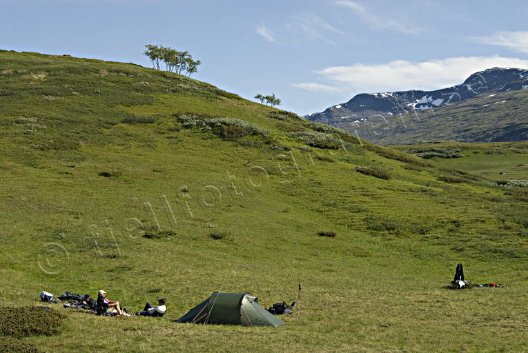 alpine hiking, fjälläng, green, national park, Padjelanta, summer, tent, tent camp, äventyr