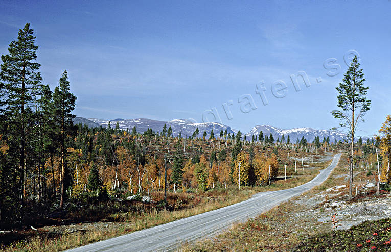 autumn, autumn colours, Jamtland, landscapes, Lunndorrsfjallen, mountain, road, Tossåsen