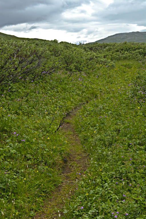 landscapes, Lapland, mountain route, national park, nature trail, Padjelanta, summer, track