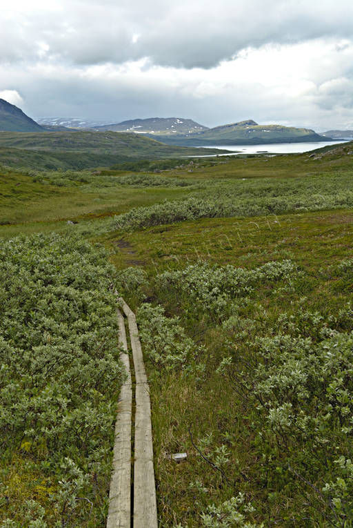 landscapes, Lapland, mountain route, national park, nature trail, Padjelanta, summer, track