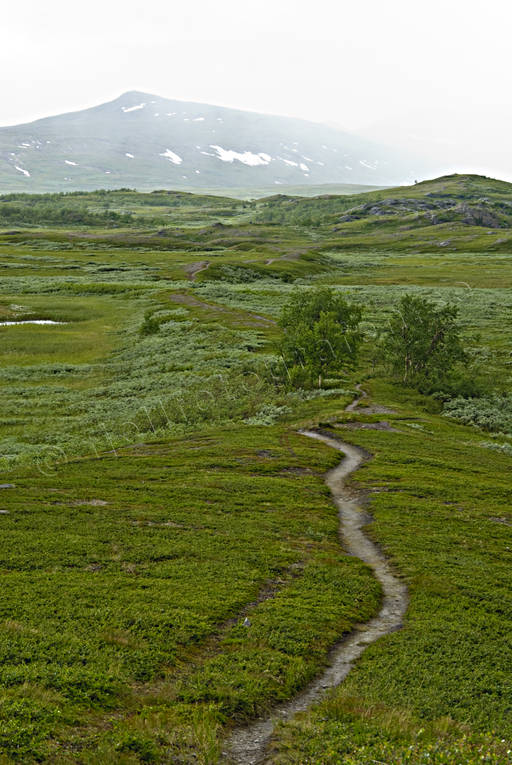 landscapes, Lapland, mountain route, national park, nature trail, Padjelanta, summer, track