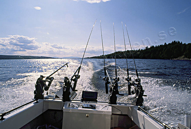 angling, fishing, Great Lake, trolling, trolling boat