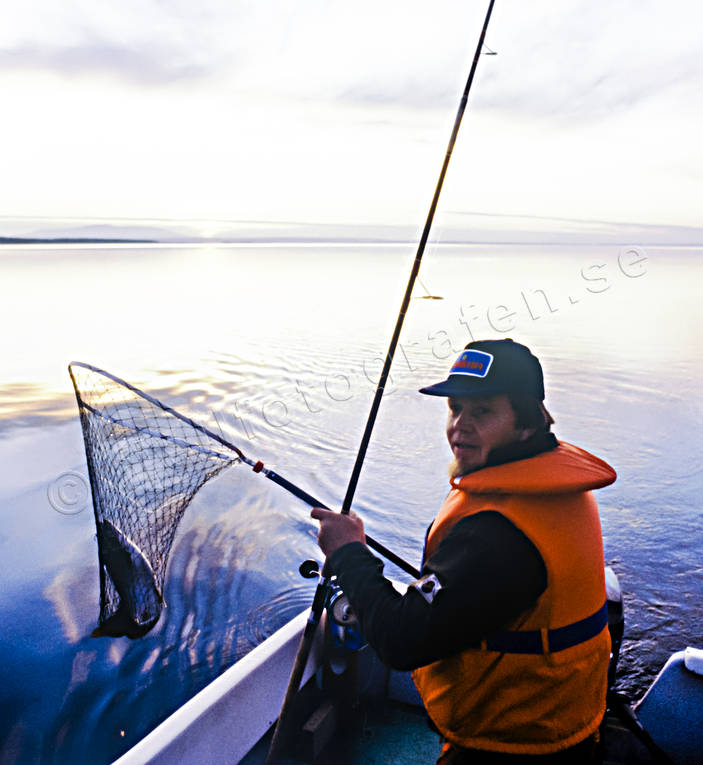 angling, boat fishing, fishing, Great Lake, kanadarding, trolling, trollingfiske