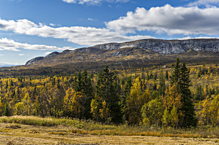 autumn, autumn colours, Jamtland, landscapes, mountain, mullfjallet, seasons, Ullådalen