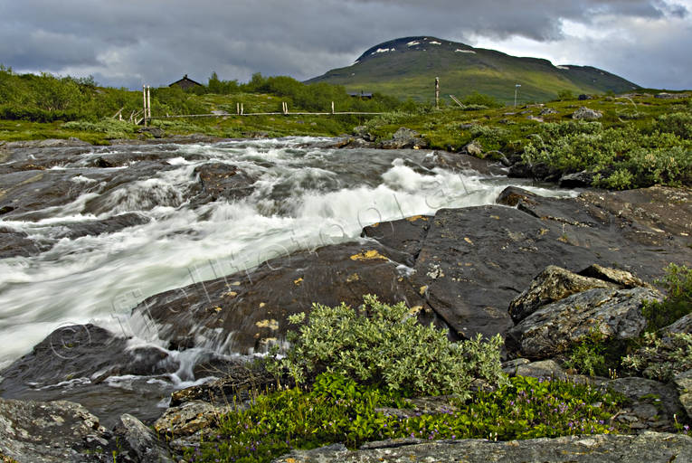 cable bridge, suspender bridge, fjlllv, landscapes, Lapland, national park, Padjelanta, stream, summer