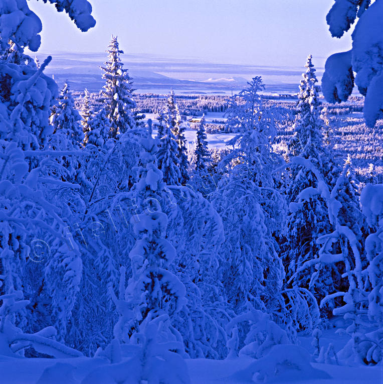 blue, Froson, Jamtland, landscapes, season, seasons, view, winter