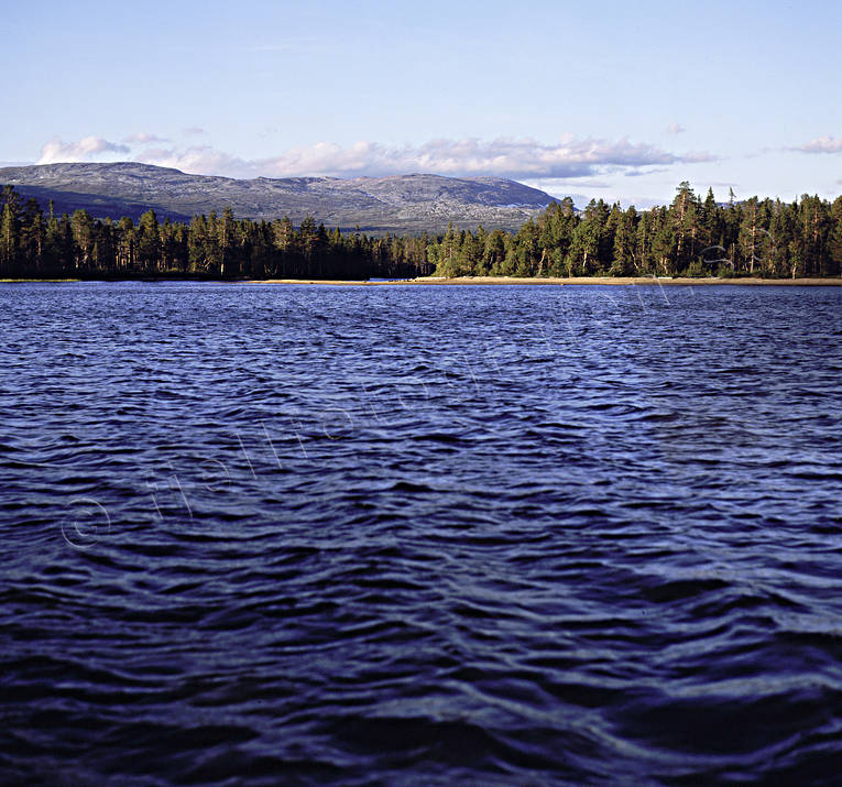 Jamtland, Jav lake, lake, landscapes, mountain lake, summer, Tjoure