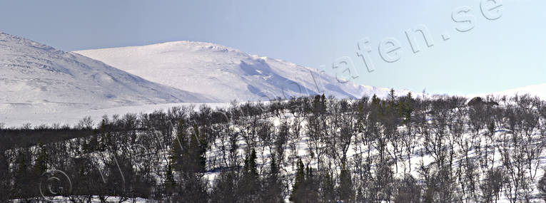 Anaris Mountains, birch-wood, Jamtland, landscapes, mountain, mountain forest, panorama, panorama pictures, Wide lake, winter