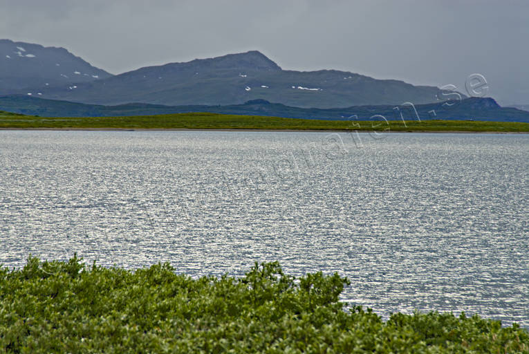 landscapes, Lapland, national park, Padjelanta, summer, Virihaure