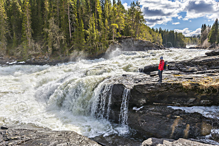 Indal river, Jamtland, landscapes, outdoor life, stream, summer, vatten, vrflod, water fall, watercourse, ventyr