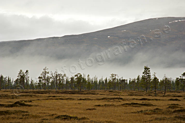autumn, bog soils, fog, Jamtland, mire, season, seasons, Western mountain