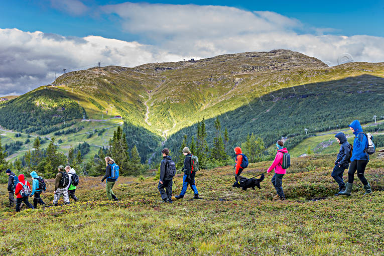 alpine hiking, Areskutan, hike, mountain, mountain top, nature, outdoor life, people, summer, walk, wanderer, footer, ventyr