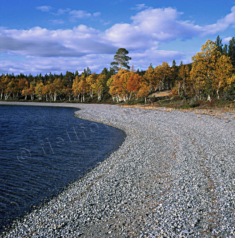 autumn, beach, Jamtland, landscapes, water lake