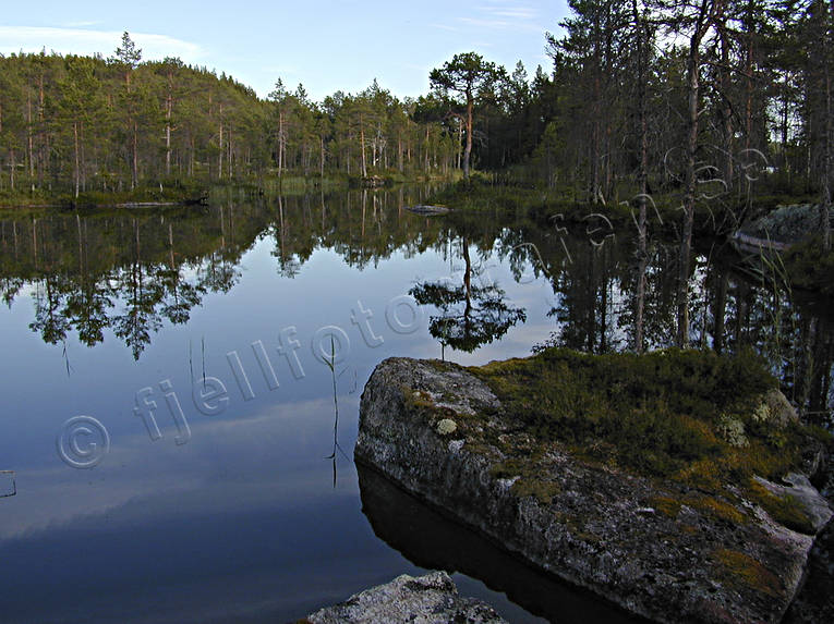 Forsan, Jamtland, landscapes, summer, vatten, water, watercourse, woodland