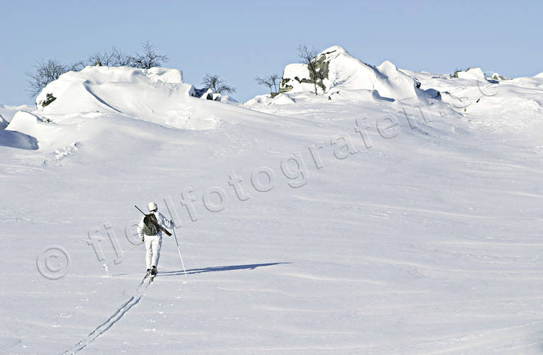 alpine hunter, alpine hunting, hunting, mountains, ptarmigan, vinterjakt ripa, vinterripa, white grouse hunt, winter