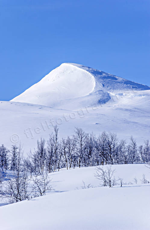 Gaisare, landscapes, Lapland, mountain, season, seasons, snow, vita vidder, winter, winter mountains