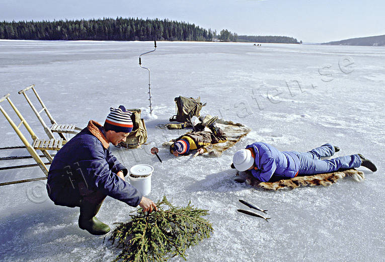 angling, fishing, fishing, fishing through ice, ice fishing, ice fishing, ice fishing, jig, dap, kry, kryfiske, whitefish, whitefish fishery, winter fishing