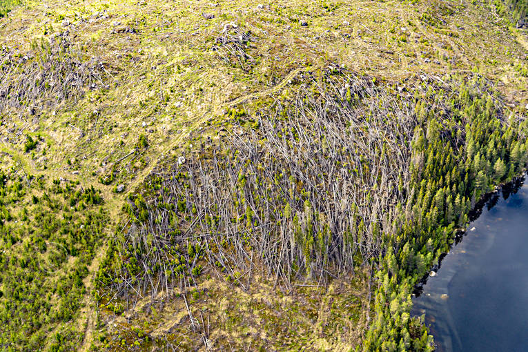 aerial photo, aerial photo, aerial photos, aerial photos, drone aerial, drnarbild, drnarfoto, forestry, Jamtland, landscapes, nature, spring, stormfllta, tree, windthrown, woodland, work