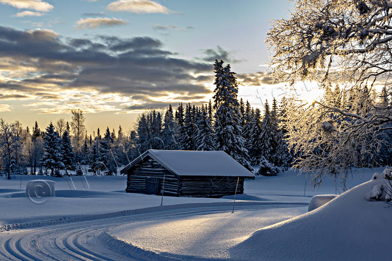 ambience, ambience pictures, atmosphere, barn, christmas ambience, Jamtland, landscapes, Lfssen, pines, season, seasons, ski touring, snow, spruce forest, vinterro, winter, winter forest, woodland, ventyr