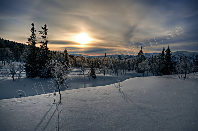 Blåsjöfjället, Jamtland, landscapes, mountain forest, nature, seasons, sky, sun, view, winter