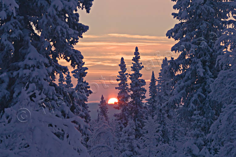 landscapes, Lapland, season, seasons, winter